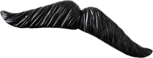 mustache